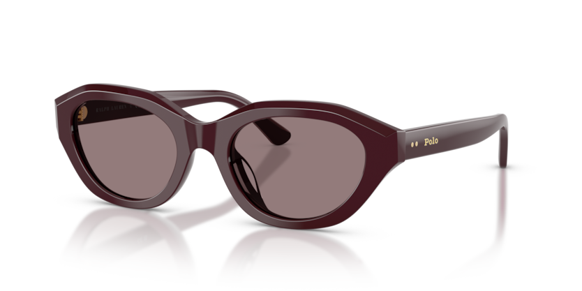 Polo PH4237U  Sunglasses