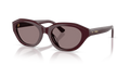 Polo PH4237U  Sunglasses