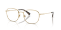 Polo PH1242  Eyeglasses