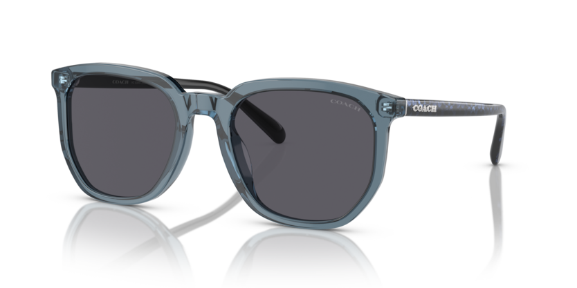 Coach HC8384U Cl911 Sunglasses