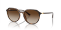 Ray-Ban RB4415L  Sunglasses