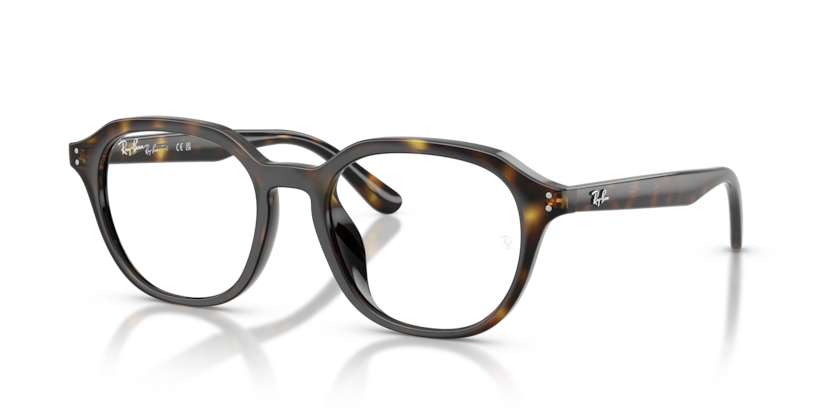 Ray-Ban Vista RX7259D  Eyeglasses