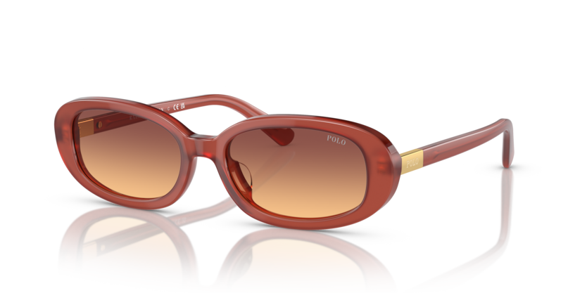Polo PH4198U  Sunglasses