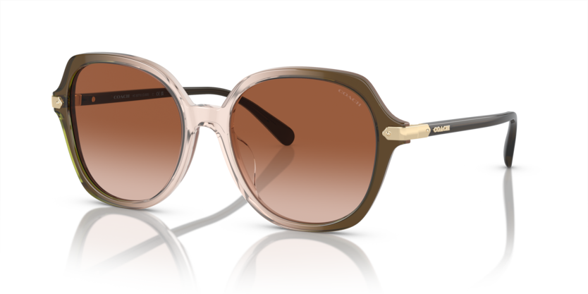 Coach HC8377U Cl925 Sunglasses