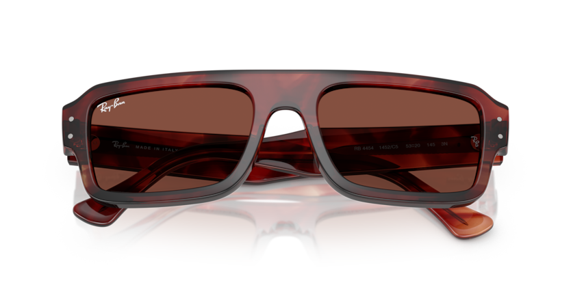 Ray-Ban RB4454 Flacko Sunglasses