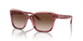 Emporio Armani EA4209  Sunglasses