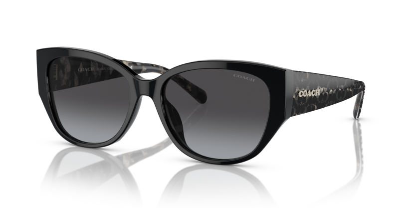 Coach HC8362U Ch563 Sunglasses