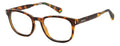Polaroid PLD D453 Eyeglasses