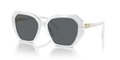 Swarovski SK6017F  Sunglasses