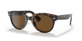 Ray-Ban RB2199 Orion Sunglasses