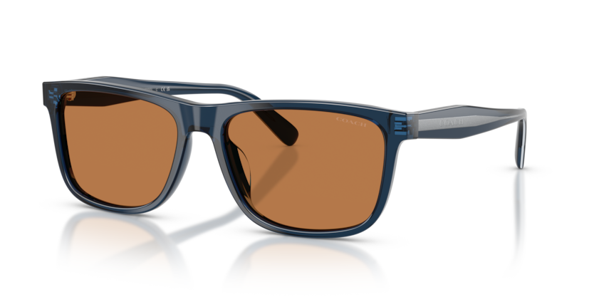 Coach HC8454U Cdp55 Sunglasses