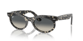 Ray-Ban RB2242F Wayfarer Oval Sunglasses