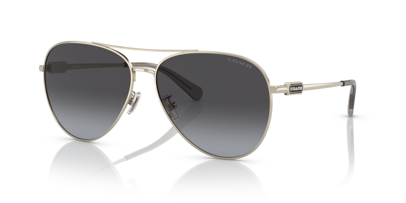 Coach HC7140 Cd474 Sunglasses