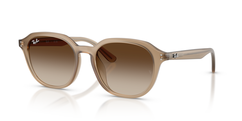 Ray-Ban RB4459D  Sunglasses
