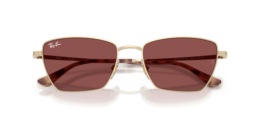 Ray-Ban RB3783  Sunglasses