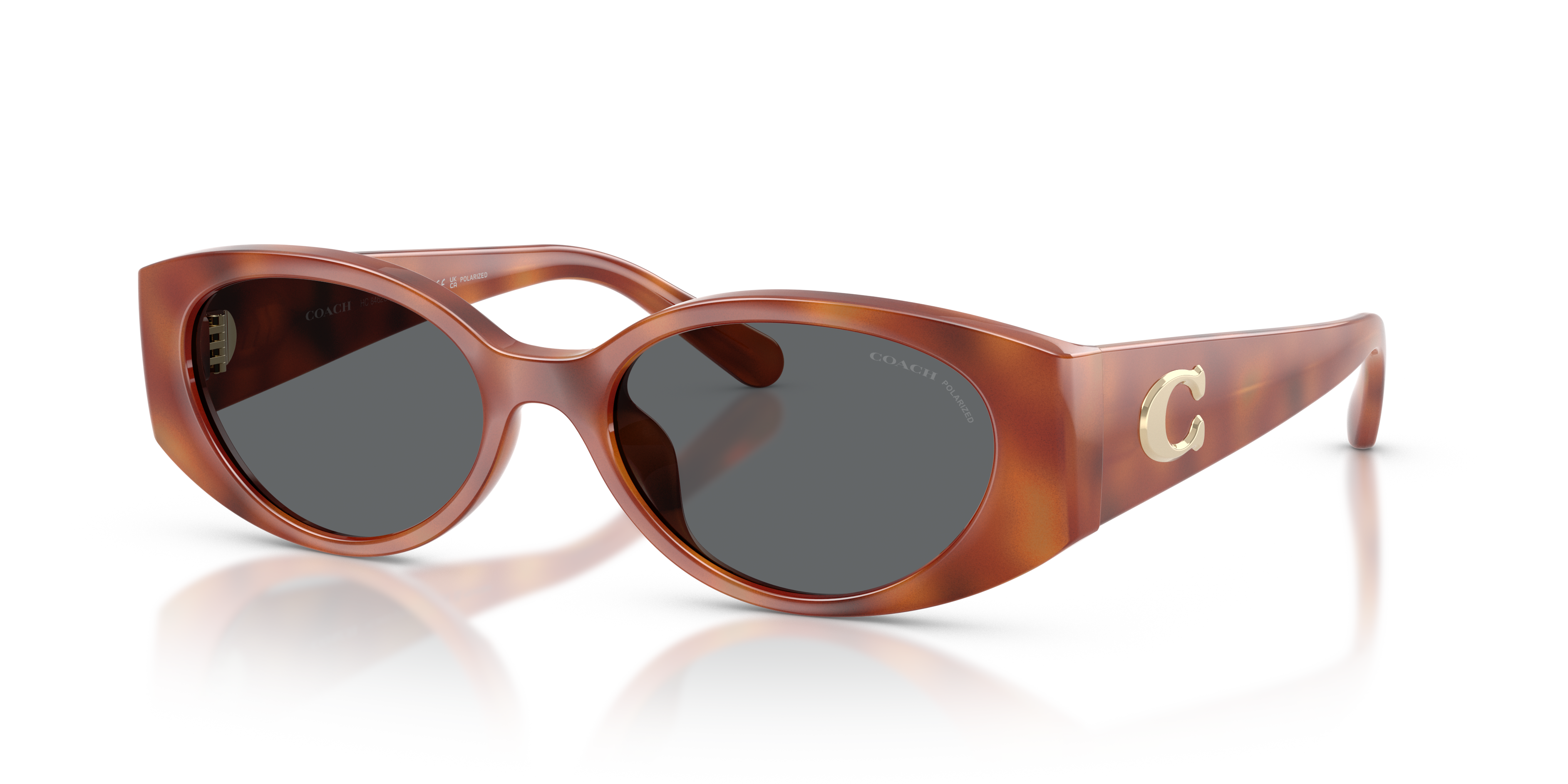 Coach HC8462U Cfu06 Sunglasses