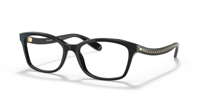 Coach HC6181  Eyeglasses