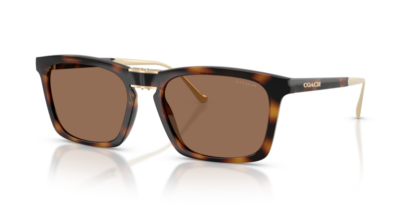 Coach HC8455 Cdp54 Sunglasses
