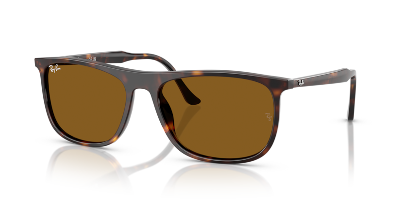 Ray-Ban RB2216  Sunglasses