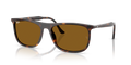 Ray-Ban RB2216  Sunglasses