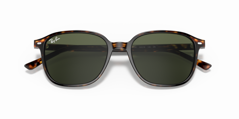 Ray-Ban RB2193 Leonard Sunglasses