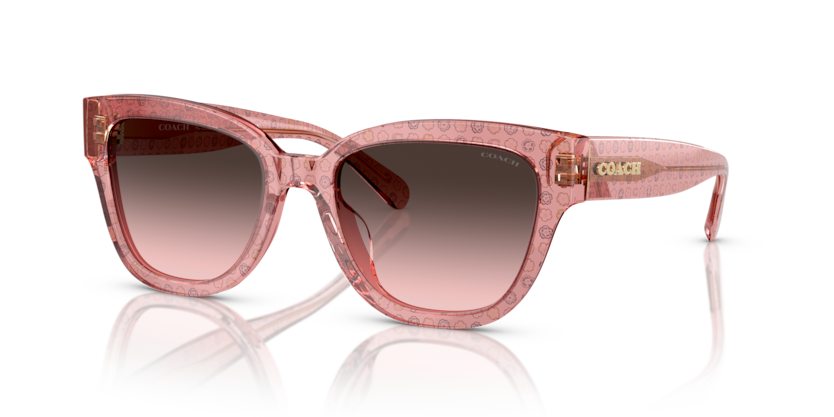 Coach HC8379U Cl920 Sunglasses
