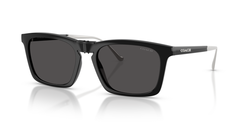 Coach HC8455 Cdp54 Sunglasses