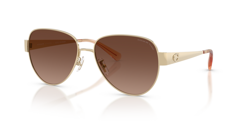 Coach HC7186 Cdp37 Sunglasses
