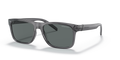 Arnette AN4298 Bandra Sunglasses
