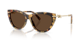 Tiffany TF4253  Sunglasses