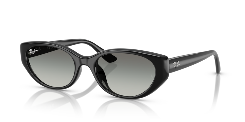 Ray-Ban RB4457D  Sunglasses