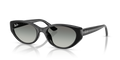 Ray-Ban RB4457D  Sunglasses