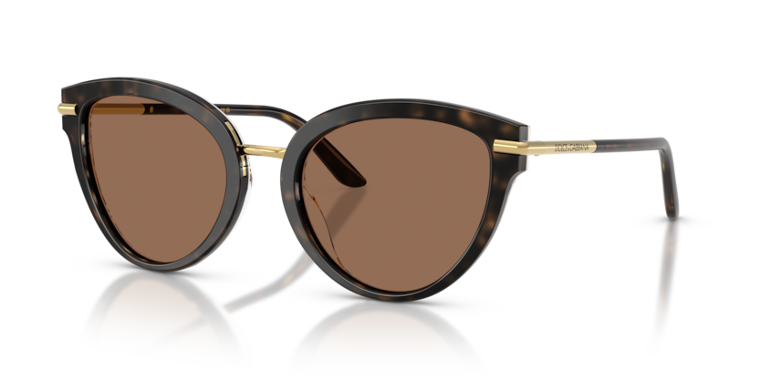 Dolce & Gabbana DG4492  Sunglasses