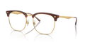 Ray-Ban Vista RX7318D  Eyeglasses