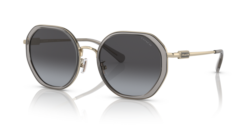 Coach HC7141 Cd477 Sunglasses