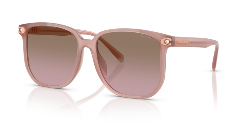 Coach HC8413BD Cw419 Sunglasses