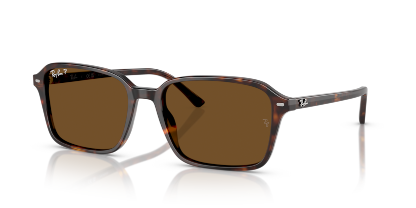 Ray-Ban RB2231 Raimond Sunglasses