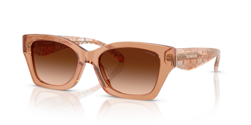 Coach HC8451U Cdp49 Sunglasses
