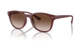 Emporio Armani EA4225U  Sunglasses