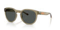 Arnette AN4371  Sunglasses