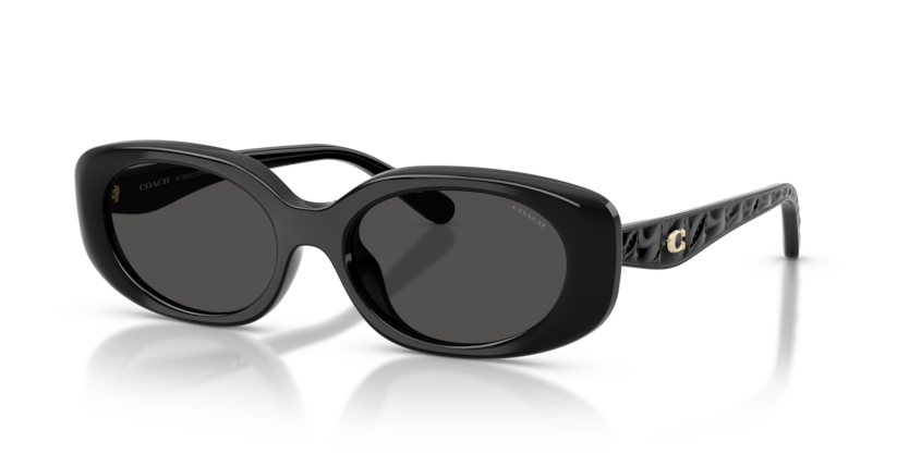 Coach HC8443D Cby84 Sunglasses
