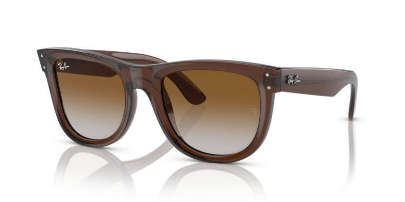 Ray-Ban RBR0502S Wayfarer Reverse Sunglasses