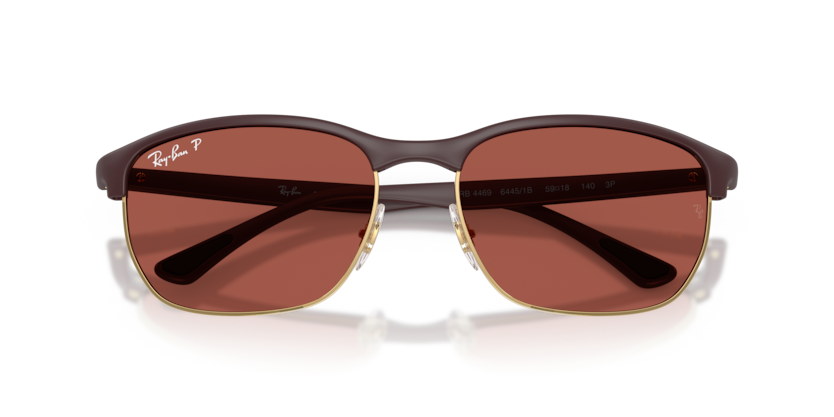 Ray-Ban RB4469  Sunglasses