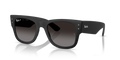Ray-Ban RB4840S  Sunglasses