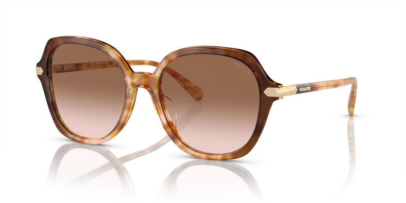 Coach HC8377U Cl925 Sunglasses