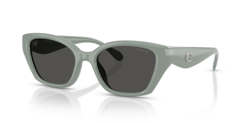 Coach HC8434U Cby91 Sunglasses