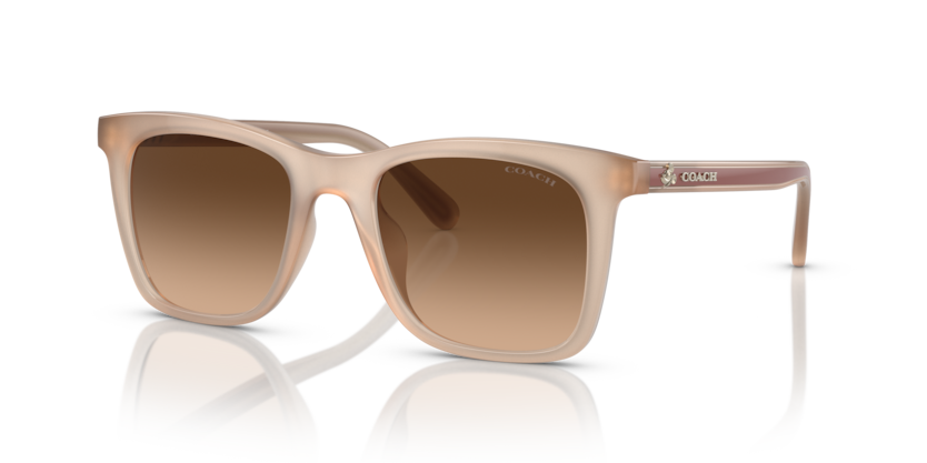 Coach HC8374U Ch561 Sunglasses