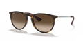 Ray-Ban RB4171 Erika Sunglasses