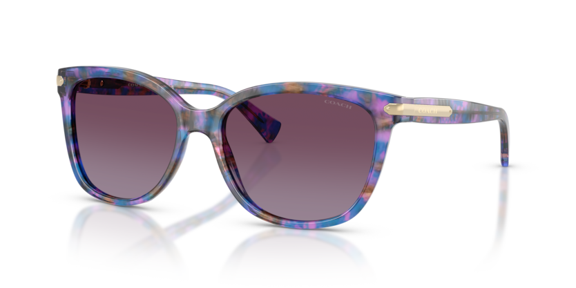 Coach HC8132 L109 Sunglasses