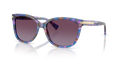 Coach HC8132 L109 Sunglasses